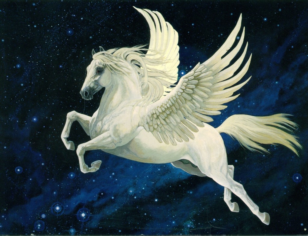 Pegasus-pegasus-20674573-2121-1625