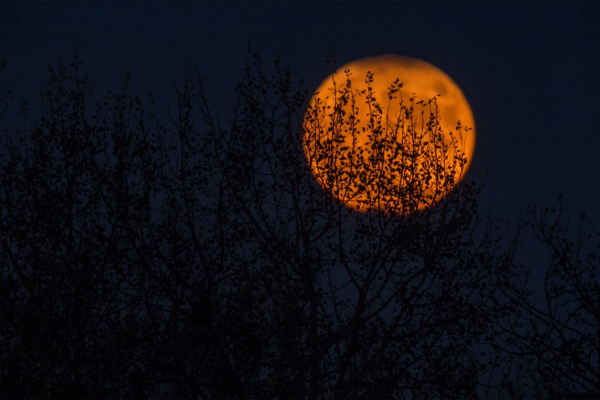 That Big, Shiny Moon