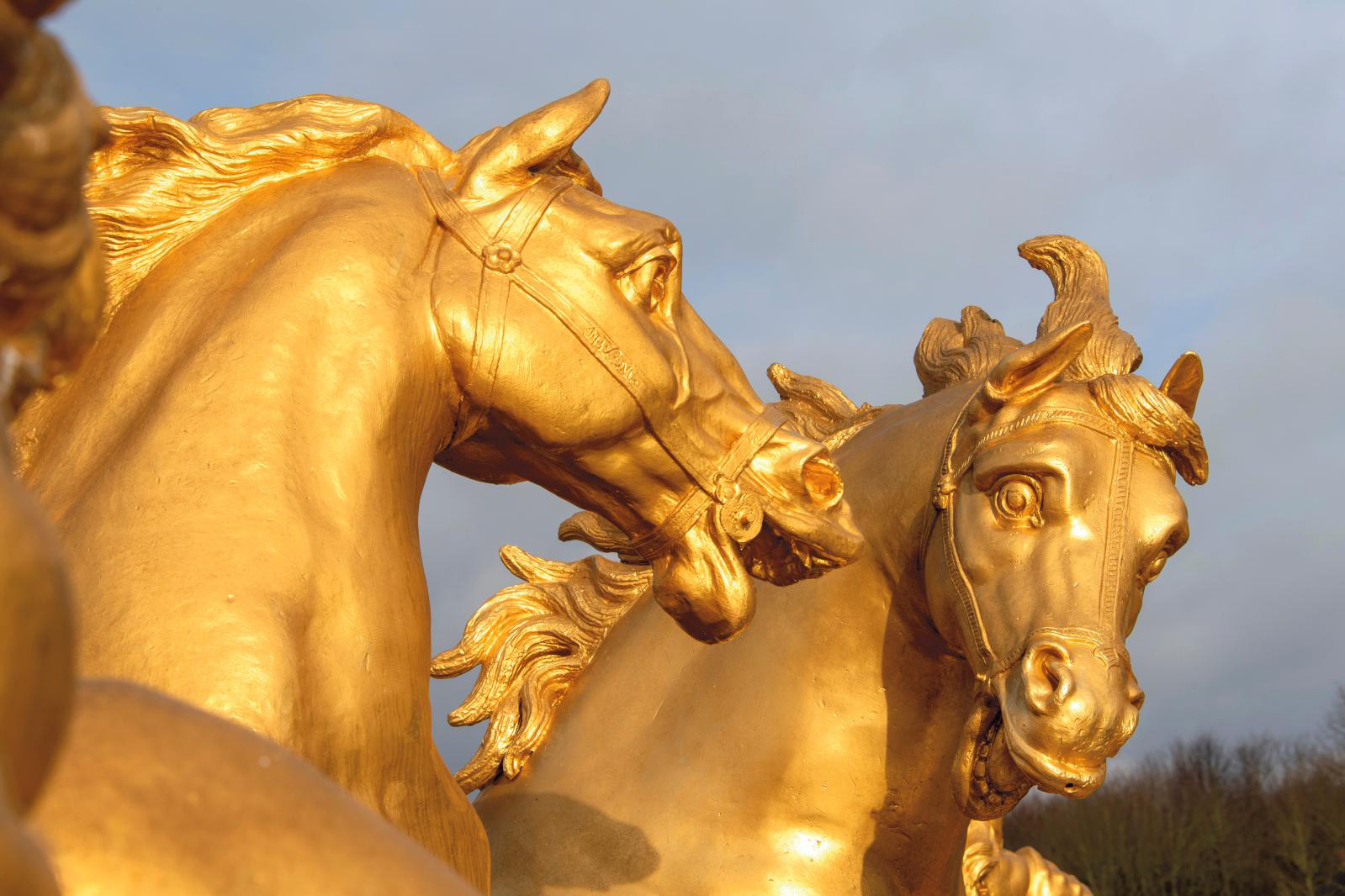 The New Moon Eclipse + Year of the Fire Horse