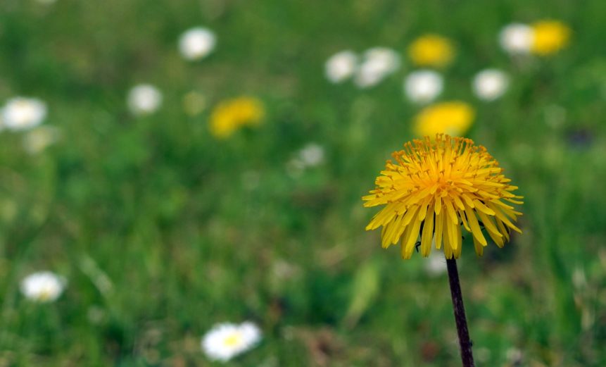 The Aries New Moon and a Webinar Tonight